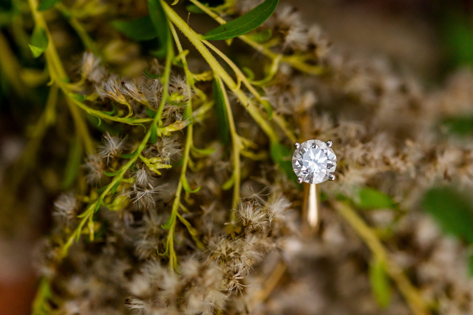 Close-up of engagement rings during Otterville session with fall background